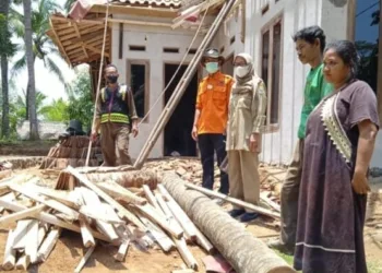 Tertimpa Pohon Kelapa, Rumah di Cihara Lebak Rusak Berat