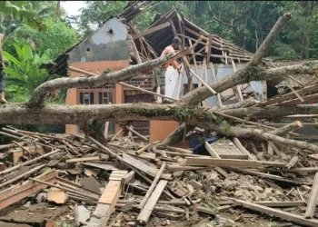 RUSAK TERTIMPA POHON–Rumah tertimpa pohon di Kampung Cihaseum, Kelurahan Pandeglang, Kecamatan Pandeglang, Rabu (24/11/2021). (ISTIMEWA)