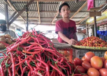 Jelang Nataru, Harga Bahan Pokok di Kota Tangerang Naik, Pedagang: Cabai Naik Rp 16 Ribu