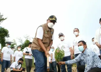 Wabup Pandji Tirtayasa, secara simbolis menanam pohon di kawasan Bendungan Sindangheula, Sabtu (18/12/2021). (ISTIMEWA)