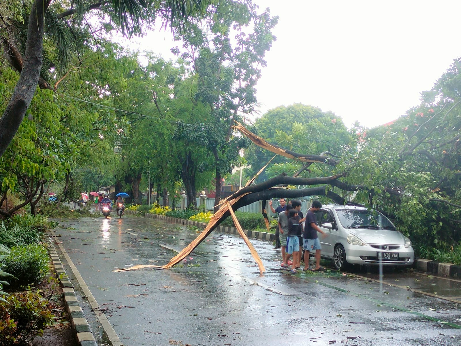 Ini Syarat Untuk Bisa Klaim Asuransi Akibat Pohon Tumbang Di Kota Tangerang