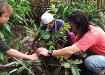 Peringati Milad Ke-25, Seniman Jalanan di Lebak Ini Tanam Pohon Buah