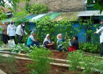 Warga Kampung di Kota Tangerang Ini Olah Daun Sirih Jadi Kudapan