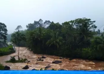 DITANGKAP–Seekor buaya yang sempat menggigit Tasru (63), sekaligus meresahkan warga Kampung Beuleundung RT 04 RW 05, Desa Batuhideung, Kecamatan Cimanggu, Kabupaten Pandeglang, berhasil ditangkap masyarakat sekitar, Selasa (4/1/2022). (ISTIMEWA)