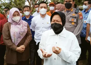 Mensos RI, Tri Rismaharini didampingi Bupati Pandeglang, Irna Narulita dan jajaran lainnya sedang meninjau lokasi paska gempa di Kampung Paniis, Desa Taman Jaya, Kecamatan Sumur, Kabupaten Pandeglang, Senin (17/1/2022). (ISTIMEWA)