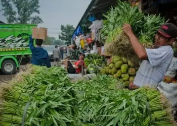 2 Minggu Surat Dilayangkan, Pasar Induk Tanah Tinggi Belum Lengkapi Izin, Begini Kata Sekda Herman