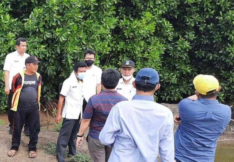 DKPP Kabupaten Serang meninjau lokasi tanaman mangrove, di Kecamatan Tanara, Rabu (16/2/2022). (ISTIMEWA)