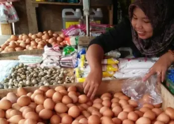 PENJUAL TELUR–Seorang pedagang telur di Pasar Badak Pandeglang, sedang menjajakan barang dagangannya (telur). (ISTIMEWA)