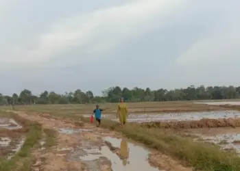 RUSAK PARAH–Jalan poros desa yang menghubungkan Desa Ciawi dengan Desa Idaman, tepatnya di Kampung Kramat, Desa Ciawi dan Kampung Tajur, Desa Idaman, Kecamatan Patia, rusak parah dan tak ada tanda-tanda perbaikan sejak 4 tahun silam, Senin (21/2/2022). (ISTIMEWA)