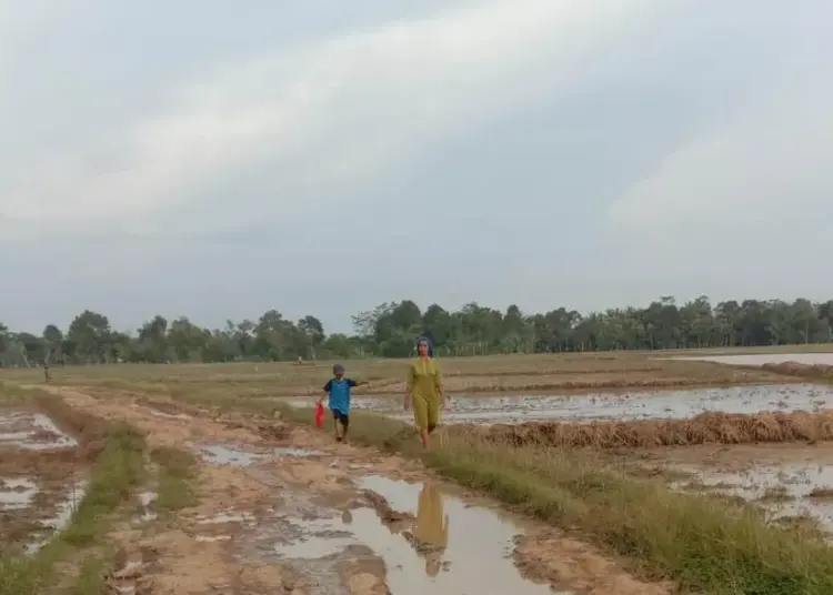 RUSAK PARAH–Jalan poros desa yang menghubungkan Desa Ciawi dengan Desa Idaman, tepatnya di Kampung Kramat, Desa Ciawi dan Kampung Tajur, Desa Idaman, Kecamatan Patia, rusak parah dan tak ada tanda-tanda perbaikan sejak 4 tahun silam, Senin (21/2/2022). (ISTIMEWA)