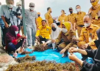 Dirjen Perikanan Tangkap KKP dan Anggota DPR RI, melakukan kunker ke Desa Lontar. Dalam kunjungan tersebut, mereka mencanangkan kampung nelayan. (ISTIMEWA)