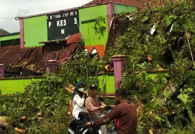 Pohon asam kamal tumbang, menimpa Puskesmas Menes, Minggu (27/2/2022) lalu. (ISTIMEWA)