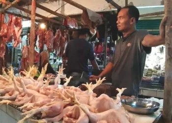 Penjual ayam potong di Pasar Pandeglang, sedang menjajakan dagangannya, Jumat (4/3/2022). (ISTIMEWA)