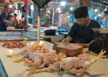 Seorang pedagang ayam potong, menjajakan dagangannya di meja lapak penjualan, di Pasar Badak Pandeglang, Senin (28/3/2022). (NIPAL SUTIANA/SATELITNEWS.ID)