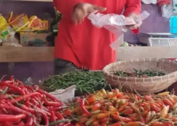 Pedagang bumbu dan sayuran, sedang menjajakan dagangannya di Pasar Pandeglang, Selasa (8/3/2022). (ISTIMEWA)