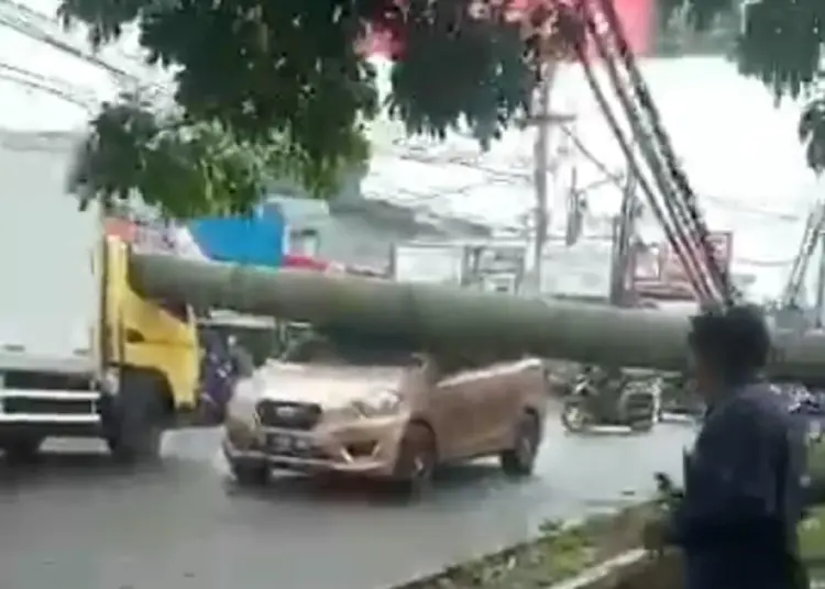 Pohon Tumbang Timpa Mobil, Motor Hingga Rumah