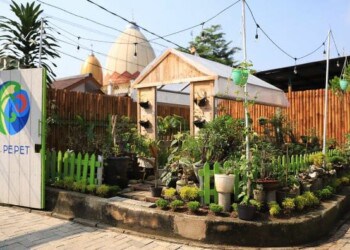 Berwisata Sambil Belajar Cukup Datangi Kampung Pepet Urban Farm