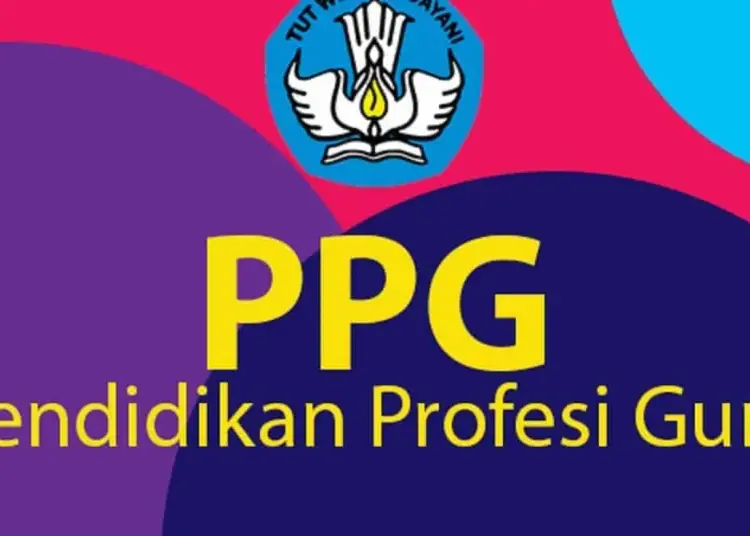 Pengumuman Hasil Pendaftaran Pendidikan Profesi Guru (PPG) Hari Ini 7 Maret 2022