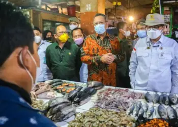 Cek Harga Komoditas, Wakil Menteri Pertanian Datangi Pasar Serpong