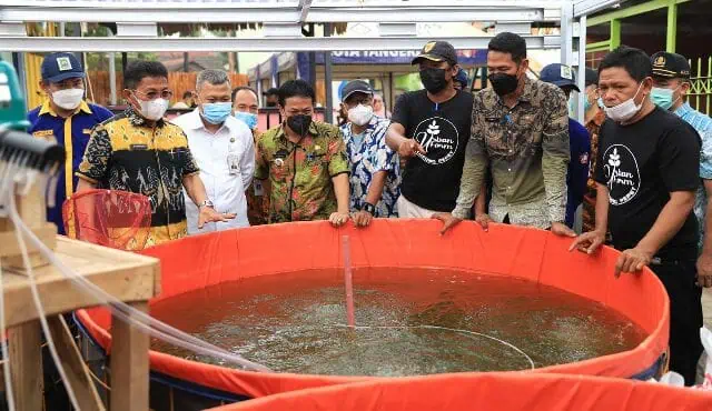 Berwisata Sambil Belajar Cukup Datangi Kampung Pepet Urban Farm Cibodas