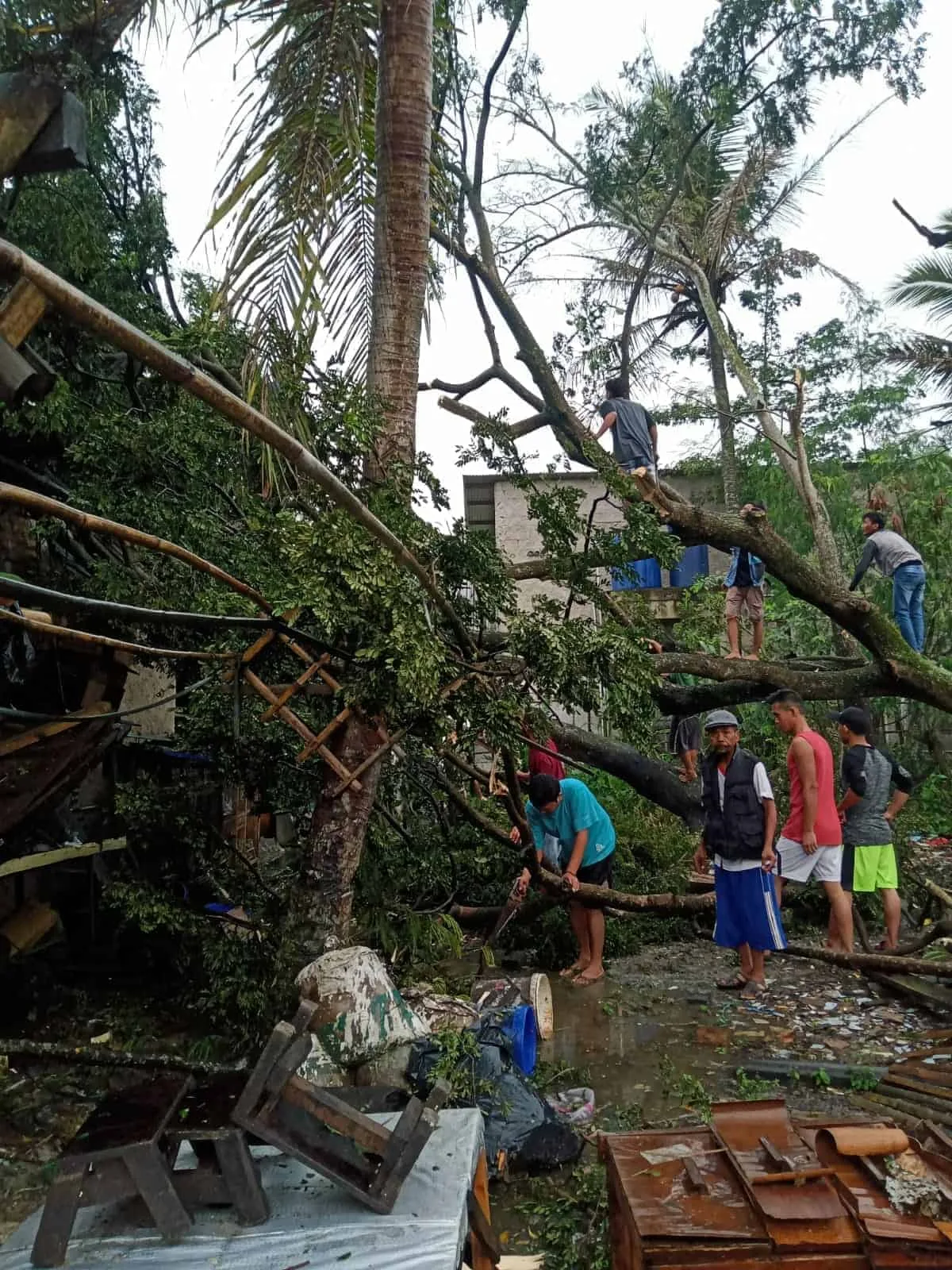 Sejumlah warga memotong pohon tumbang yang menimpa rumah, di Kabupaten Serang, Senin (16/5/2022). (ISTIMEWA)