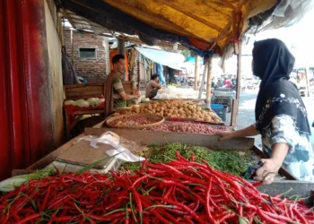 Seorang pedagang bumbu dan sayuran, di Pasar wilayah Kota Serang, Selasa (24/5/2022). (ISTIMEWA)