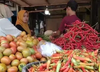 Seorang pedagang di Pasar Badak Pandeglang, sedang melayani pembeli, Senin (6/6/2022). (ISTIMEWA)