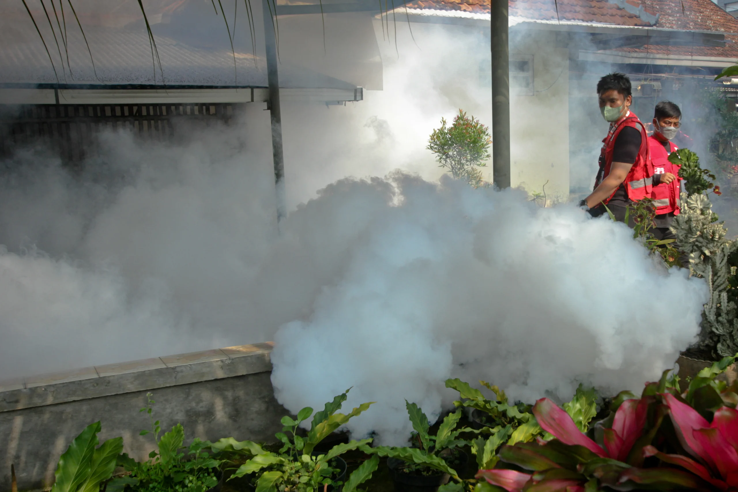 Foto Pengasapan Cegah Dbd Di Pemukiman Warga