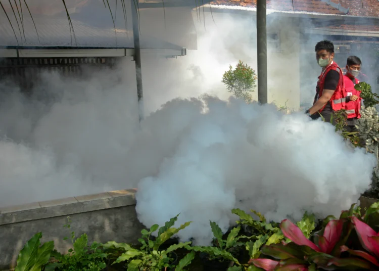 Foto Pengasapan Cegah DBD di Pemukiman Warga