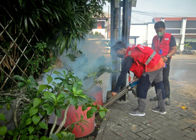 Foto Pengasapan Cegah DBD di Pemukiman Warga