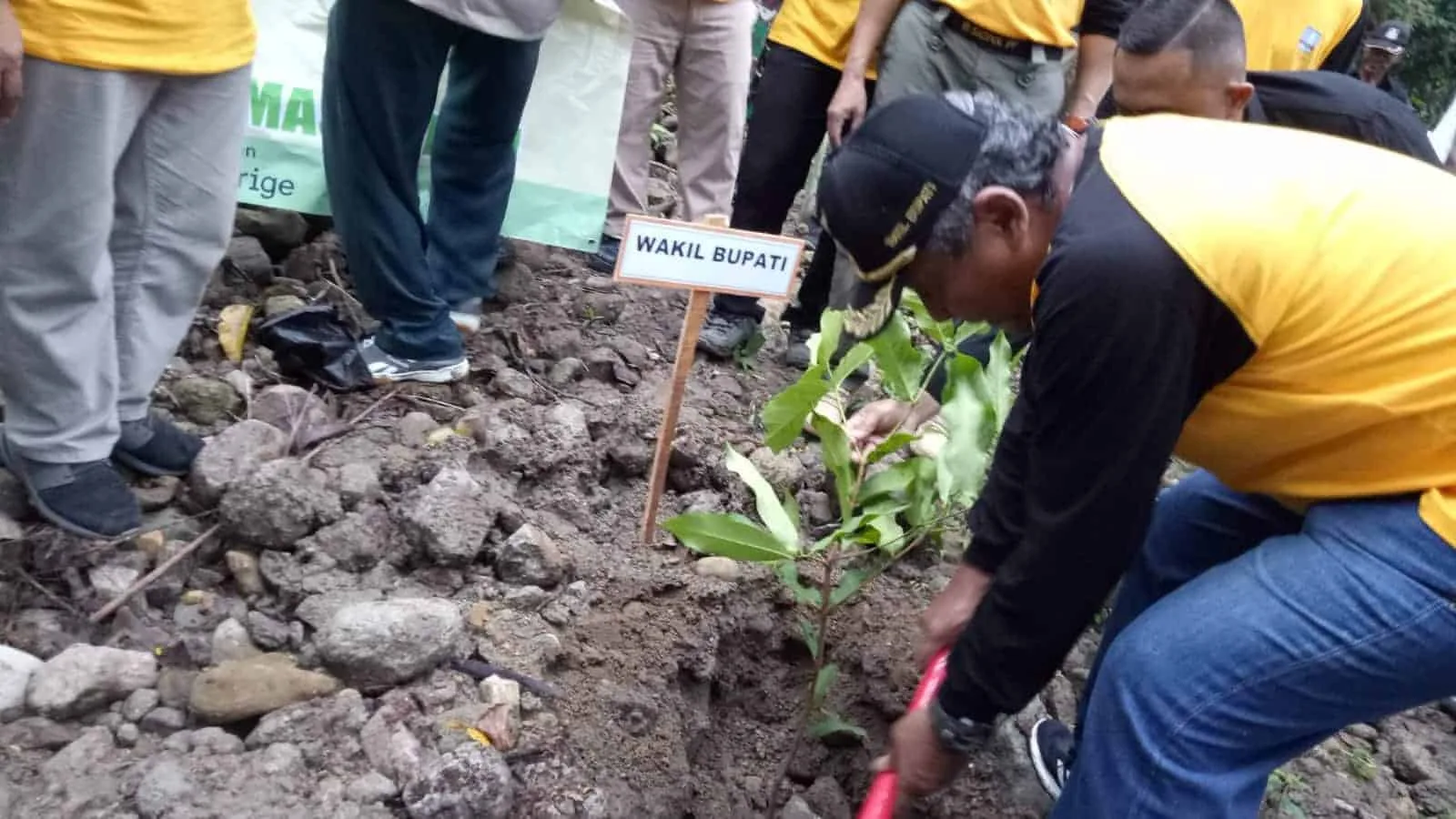 Wabup Serang, Pandji Tirtayasa, menanam pohon di Desa Sasahan, Kecamatan Waringinkurung, Kabupaten Serang, Rabu (15/6/2022). (ISTIMEWA)