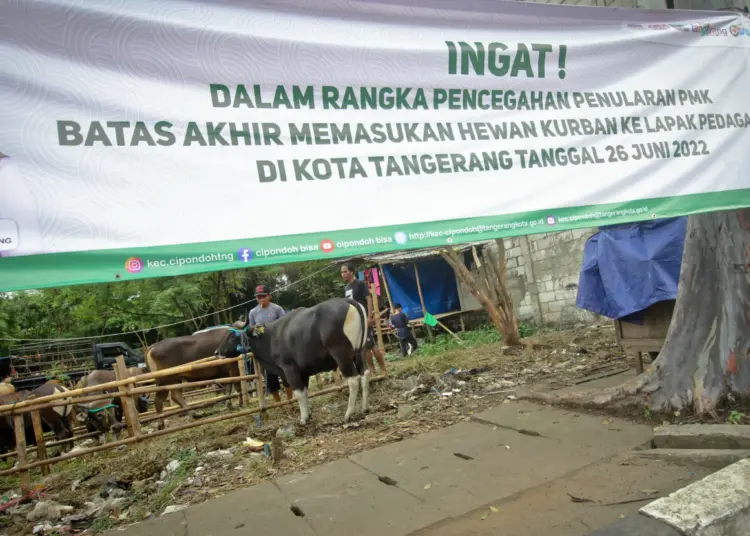 Foto Imbauan Larangan Masuk Hewan Kurban Jelang Idul Adha di Tangerang