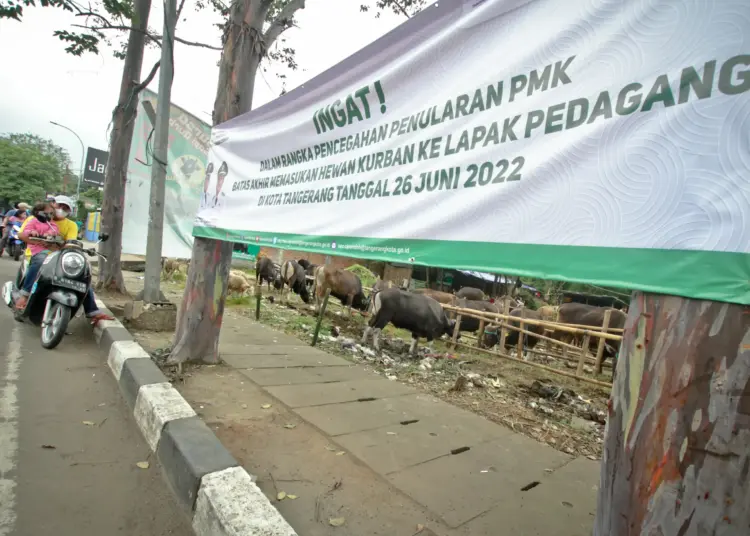 Foto Imbauan Larangan Masuk Hewan Kurban Jelang Idul Adha di Tangerang