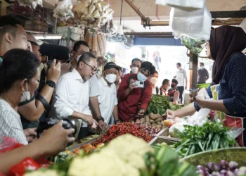 Mendag Zulhas Pastikan Harga Migor Stabil Dalam Waktu Dua Minggu