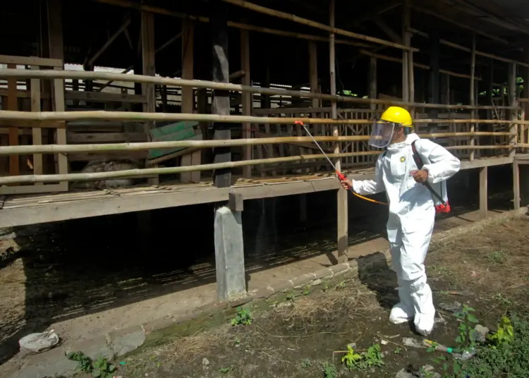 Foto Penyemprotan Disinfektan untuk Hewan di Kabupaten Tangerang