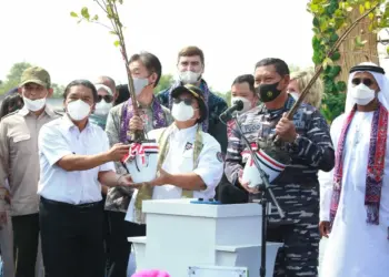 KSAL, Menteri LHK dan Al Muktabar Tanam Mangrove di Tanjung Pasir