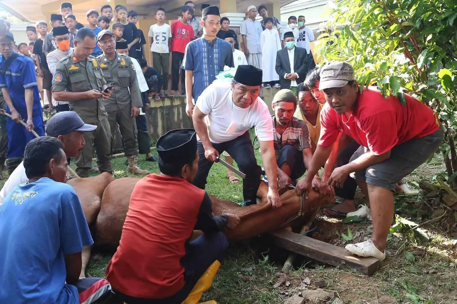 Pj Gubernur Banten Jadi Jagal, Potong 10 Hewan Kurban