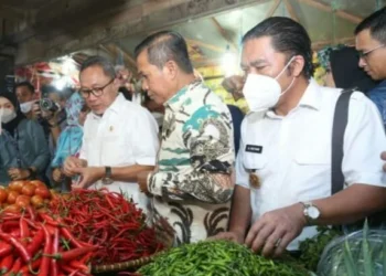 SIDAK PIR–Menteri Perdagangan Republik Indonesia (Mendag RI) Zulkifli Hasan, sidak harga sejumlah sembako di Pasar Induk Rau (PIR), Kota Serang, Kamis (28/7/2022). (ISTIMEWA)