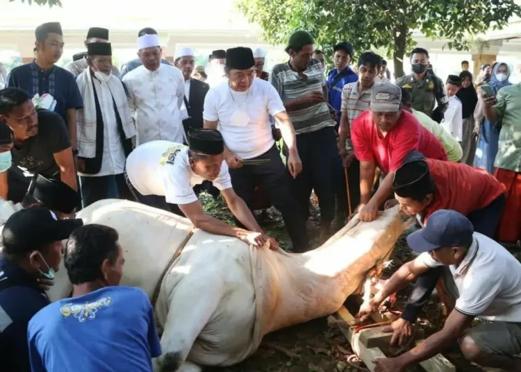 PJ Gubernur Banten Al Muktabar, menyembelih hewan qurban di Masjid Raya Al-Bantani, KP3B, Curug, Kota Serang, Minggu (10/7/2022). (ISTIMEWA)