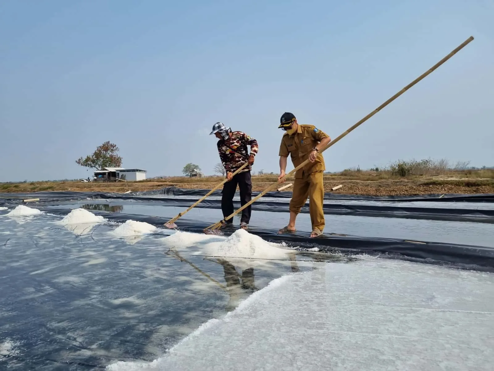 Kepala DKPP Kabupaten Serang, Suhardjo, membantu petani produksi garam, Senin (11/7/2022). (ISTIMEWA)