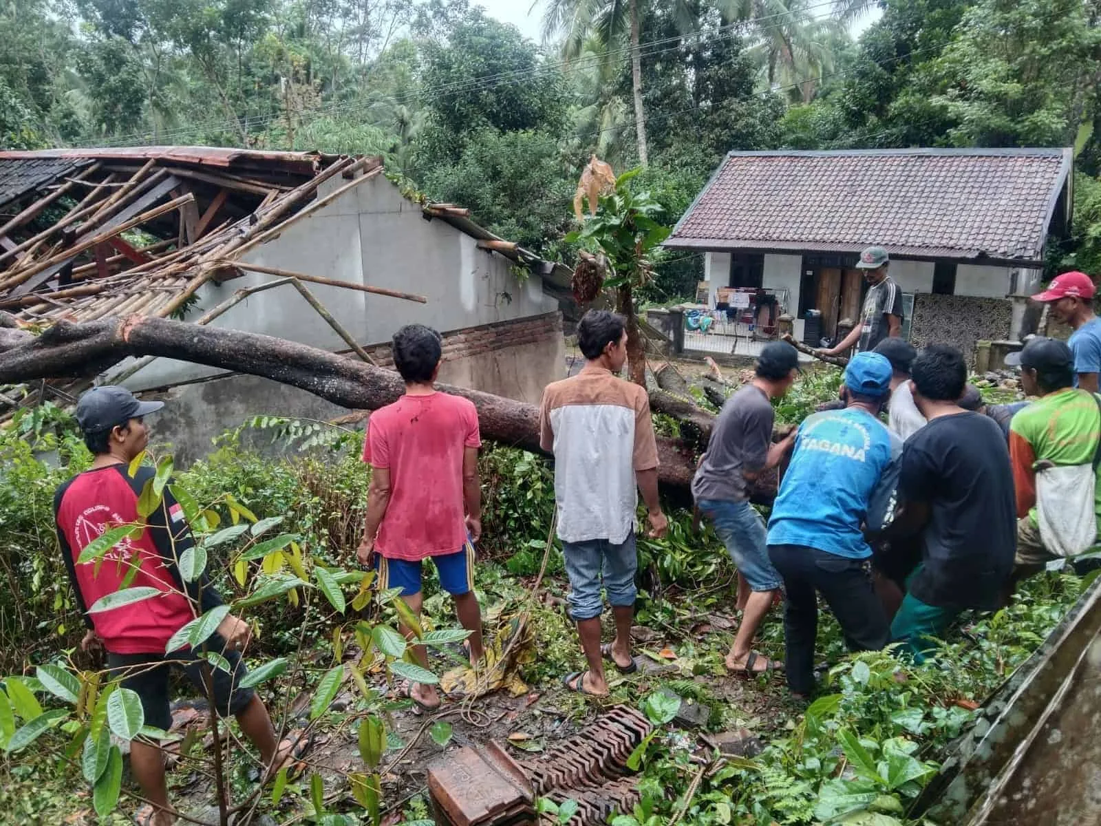 Warga dan sejumlah relawan Taruna Siaga Bencana (Tagana), mengevakuasi pohon tumbang yang menimpa rumah, Jumat (15/7/2022). (ISTIMEWA)