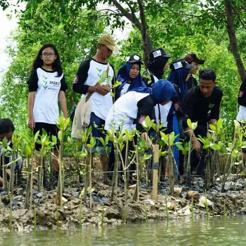 Ini Kisah KTH Rawa Burung Berjibaku Lestarikan Hutan Mangrove