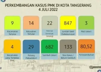 Kasus PMK Kota Tangerang, Sudah 80,52 Persen Ternak Terpapar Dinyatakan Sembuh