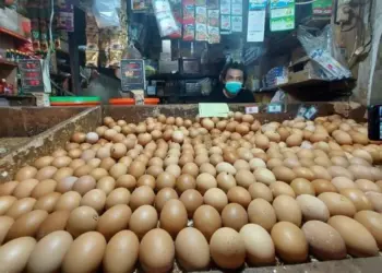 Pedagang Telur menunggu pembeli. (ISTIMEWA)