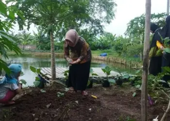 Warga Perumahan di Cipondoh Ubah Lahan Kosong Jadi Tempat Wisata Edukasi