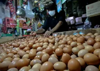 Harga Telur Ayam di Kota Tangerang Naik, Pedagang Nasi Pusing