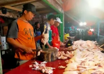 Imbas BBM, Harga Daging Ayam di Rangkasbitung Melonjak, Cabai Naik Drastis