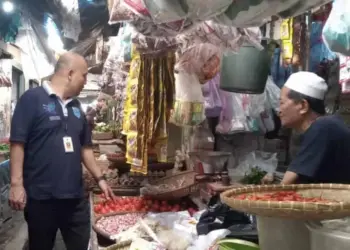 Petugas Diskoperindag Pandeglang, memantau harga bahan pokok dan situasi pasar di Kabupaten Pandeglang, Selasa (6/9/2022). (ISTIMEWA)