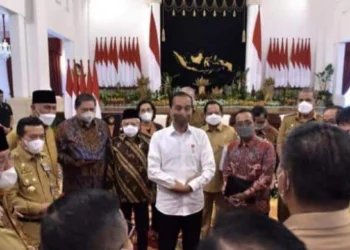 Presiden Jokowi Tanda Tangani Revisi UU ITE Perubahan Kedua