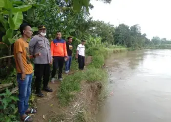 Pria Paruh Baya Hanyut di Aliran Sungai Ciujung Lebak